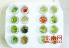澳门太阳城网站：记者来到晋江新华洲水产品批发市场